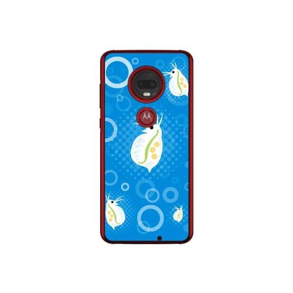 ミジンコの通販 価格比較 価格 Com