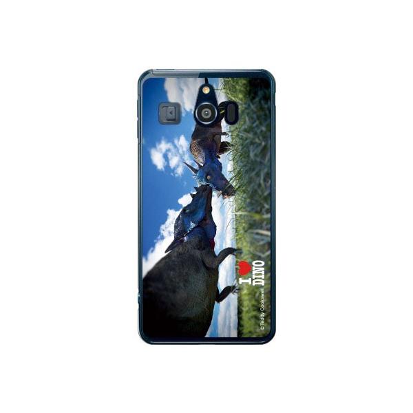 VvX}z3 P[X 509SH pLPt@TEX X}zP[X (󒍐Y)