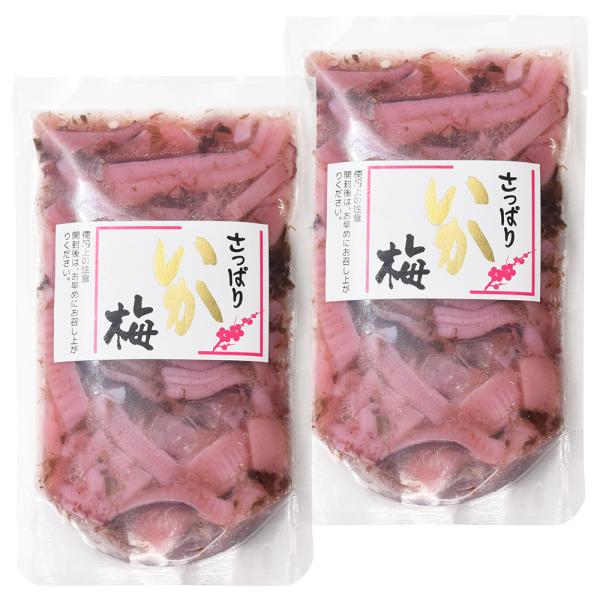 さっぱりいか梅 １６０ｇ×２個 （特産横丁×全国の珍味・加工品シリーズ）(冷蔵) OUS 三重県 伊勢 志摩 お土産