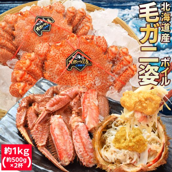 毛ガニ 姿 ボイル 2尾 約1kg（約500g×2杯） 北海道
