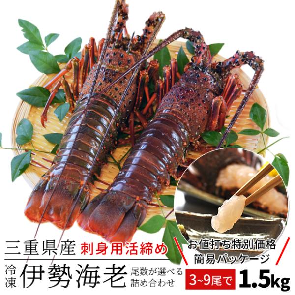 お年賀 ギフト  冷凍便 送料無料活 伊勢海老を瞬間凍結 鮮度と美味しさを逃がさないから、お刺身でもお召し上がりいただけます。足折れ、ヒゲ折れ 簡易パッケージ 訳あり 特別価格でお買得