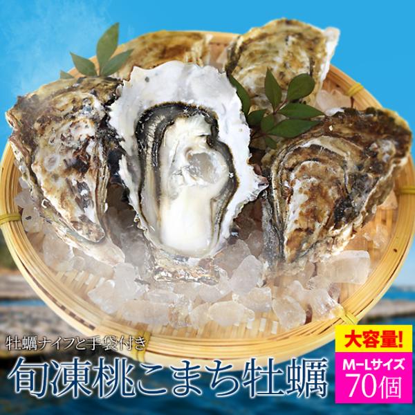 お年賀 ギフト  送料無料良質な産地厳選 伊勢志摩の離島で育つ牡蠣を身入りの良い旬の時期に瞬間冷凍