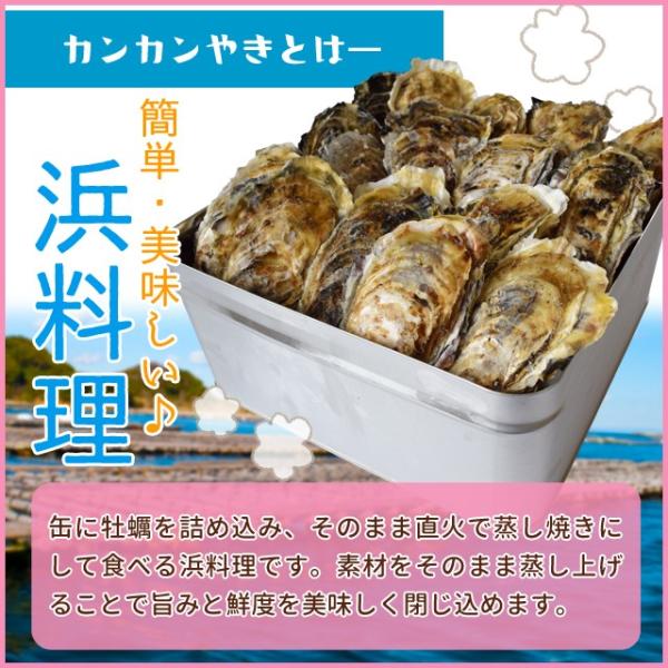 牡蠣カンカン焼きセット桃こまちサイズ無選別１０ｋｇ 約１２０個前後入 一斗缶入加熱用 牡蛎ナイフ 片手用軍手付き 殻付き牡蠣海鮮 Buyee Buyee