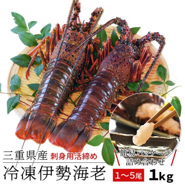 三重県産 伊勢海老詰合せ １尾〜５尾で約１ｋｇ 送料無料 刺身用瞬間冷凍 伊勢エビ 尾数選べます プレゼント ギフト