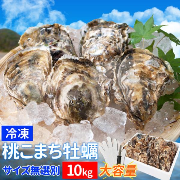 お年賀 ギフト  送料無料 ご家庭で簡単に焼き牡蠣が楽しめるセットです。ＳＳ・Ｓ・Ｍサイズの牡蠣が混ざった無選別牡蠣なのでお買い得。 鳥羽の離島で育つ桃こまち牡蠣を身入りの良い旬の時期に冷凍しました