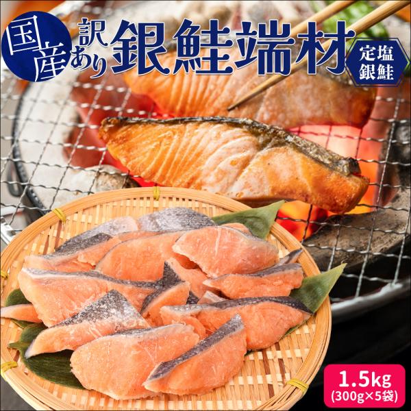 送料無料 切り身、尾部が入った無選別でお得な銀鮭切り身の詰め合わせ。食卓に、お弁当にも大活躍