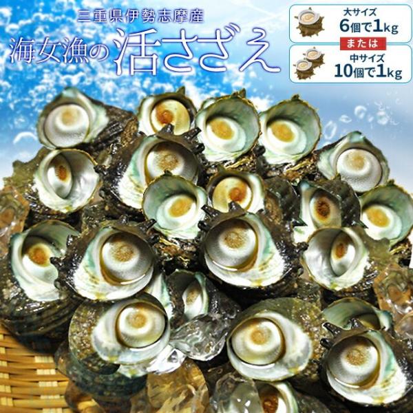 三重県 伊勢志摩産 海女漁 天然 活 さざえ 1kg 送料無料 サザエのサイズと個数が選べます お中元 ギフト :sazae1kg:伊勢鳥羽志摩特産横丁 通販 愛媛県産他 (活) サザエ 中サイズ 約1kg (7〜10個)