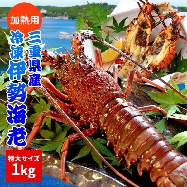 お年賀 ギフト  三重県で水揚げされた伊勢海老を美味しさを保ったまま瞬間凍結。数量限定の特大サイズで食べ応え抜群