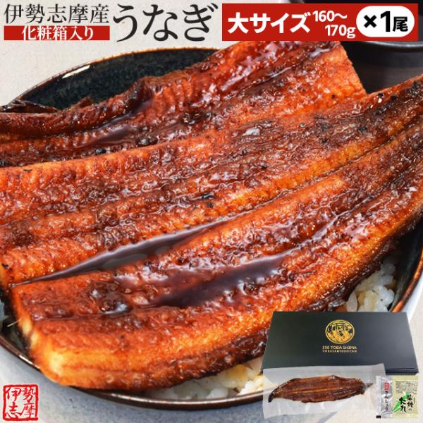 お年賀 ギフト  冷凍便 送料無料 うなぎ 伊勢神宮のみそぎ川宮川の水で育つ伊勢志摩産のうなぎを厳選地場産のたまり醤油を使用したタレで焼き上げ