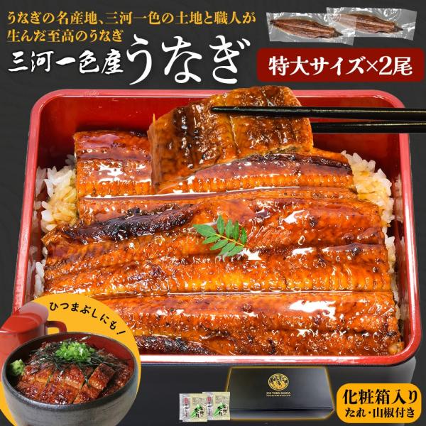 お年賀 ギフト  冷凍便 送料無料うなぎの名産地 愛知県三河一色の土地と職人が生んだ至高のうなぎ 化粧箱入 贈り物 ギフトに