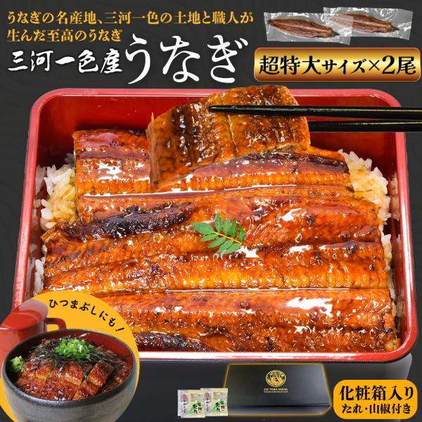 お年賀 ギフト  冷凍便 送料無料うなぎの名産地 愛知県三河一色の土地と職人が生んだ至高のうなぎ 化粧箱入 贈り物 ギフトに