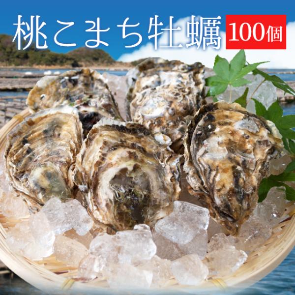 牡蠣 桃こまち １００個 殻付き牡蠣 （牡蠣ナイフ・片手用軍手付き）発泡箱入 三重県鳥羽産（加熱用）...