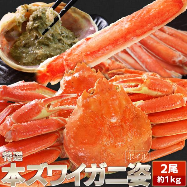 冷凍便 送料無料 三重県のかに専門輸入バイヤー厳選 身づまり良好なカナダ産ボイル本ずわいがに姿が数量限定のお買い得特価