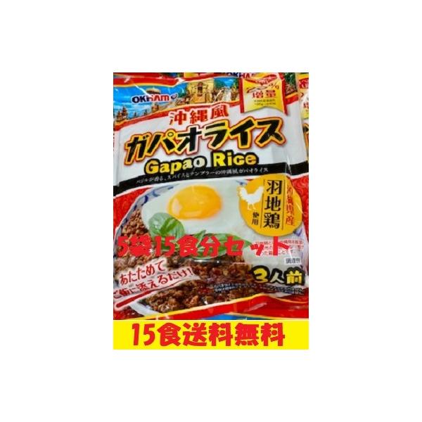 オキハム 　ガパオライスの素 5袋（15食分）セット　全国送料無料　沖縄料理　沖縄土産　