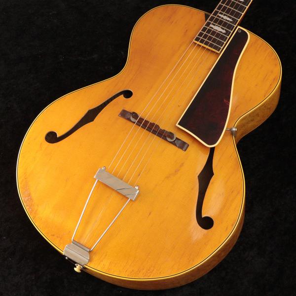 SPTG4 Premium Gig Bag Tan
