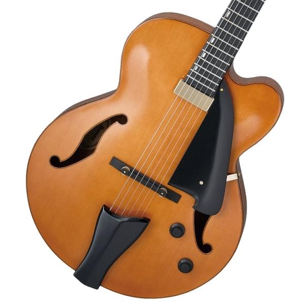 Ibanez / AFC151-DA(Dark Amber)(御茶ノ水本店) : イシバシ楽器 17