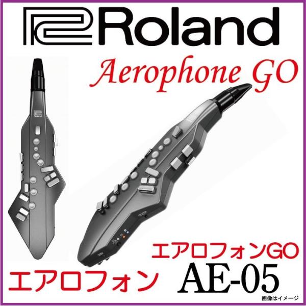 ローランド（Roland） Roland / Aerophone GO AE-05 ローランド