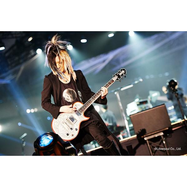 THE PORTRAIT Metal Front HISASHI Signature Model Natural