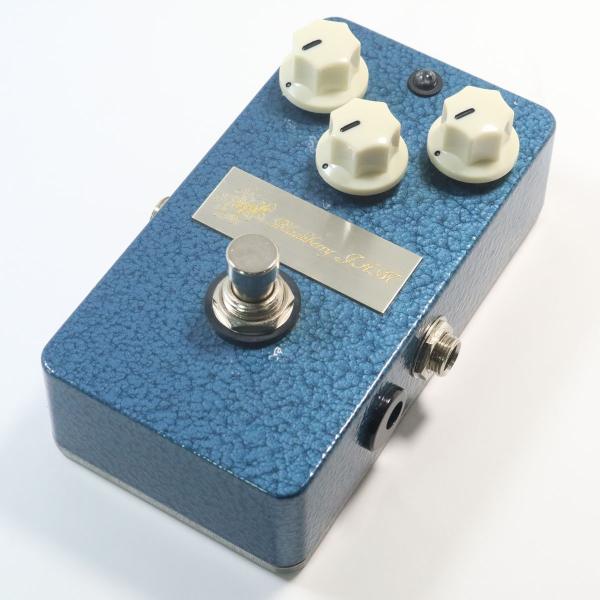 モデル着用 注目アイテム 中古 Blackberry Jam Junipherberry 御茶ノ水本店