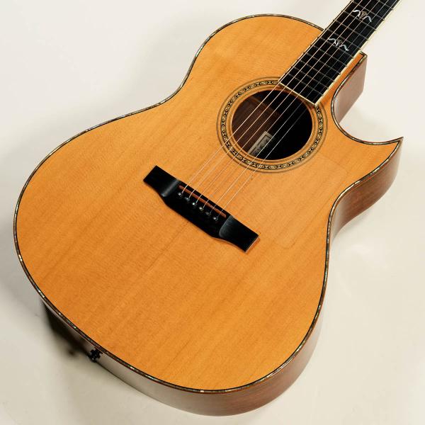 (中古)LARRIVEE / 1993 C-10 TIGER (渋谷店)(値下げ)