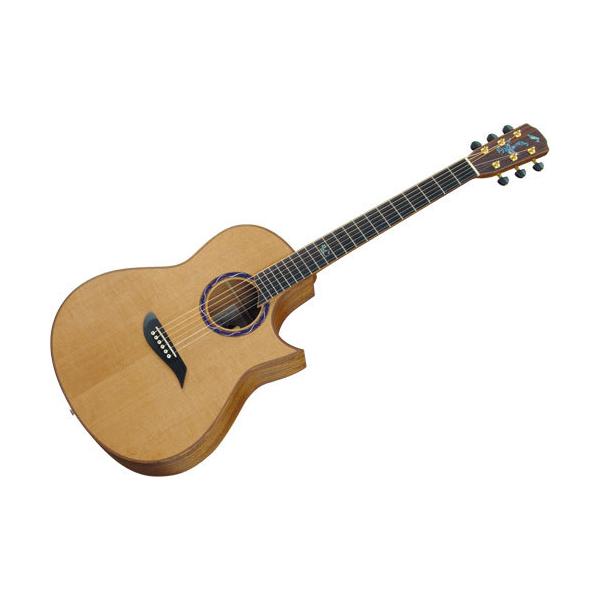 Morris / S-96III (HAND MADE PREMIUM)(ピックアップ搭載) モーリス
