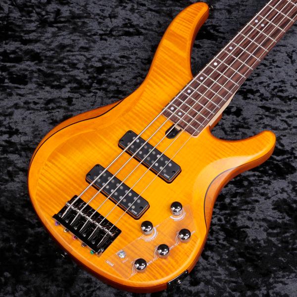 YAMAHA / TRBX605FM Mat Amber (MAM)  (新宿店)
