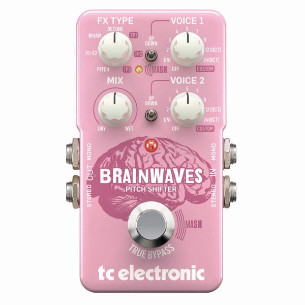 TC ELECTRONIC BRAINWAVES ピッチシフター 動作確認済 tc electronic / BRAINWAVES PITCH SHIFTER ピッチシフター : イシバシ