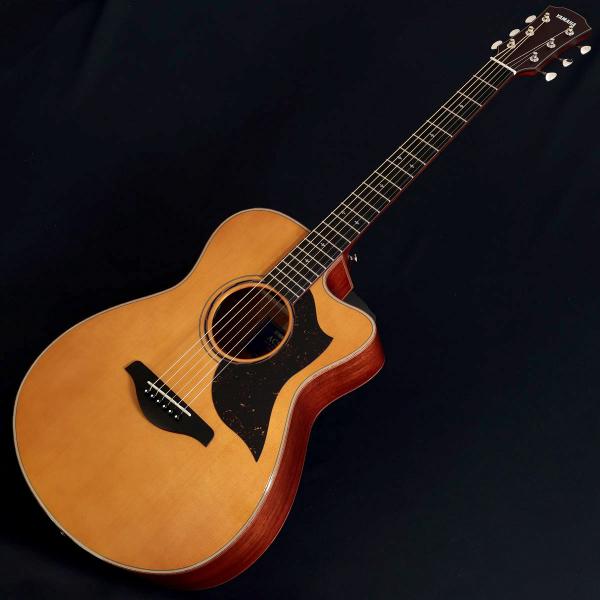 YAMAHA / AC5M ARE VN (Vintage Natural) (特典付き) (IMH331A)(池袋店)