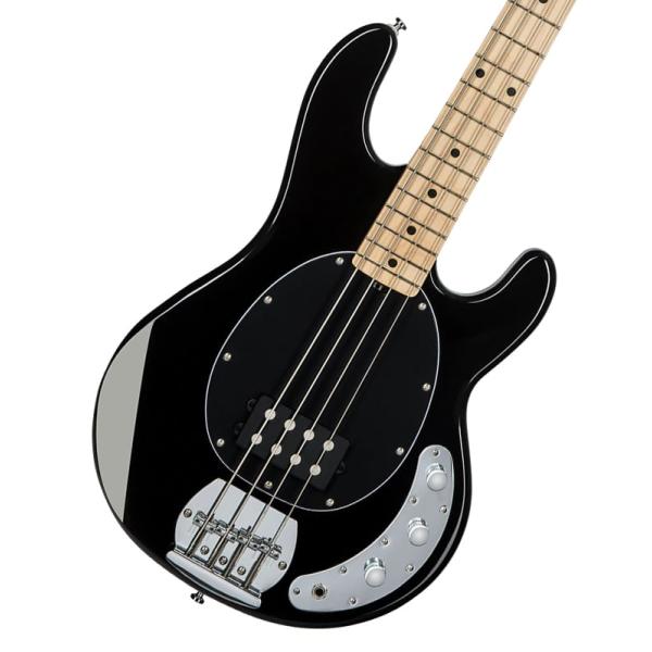 Sterling by MUSIC MAN / SUB Series Ray4 Black スターリン