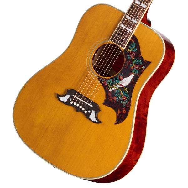 Epiphone / Inspired by Gibson Custom 1963 Dove Reissue Natural エピフォン (横浜店)