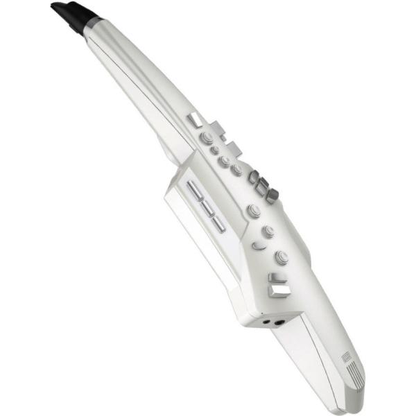 ローランド（Roland） Roland / Aerophone AE-10 エアロフォン