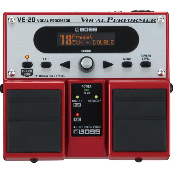 VE-20 Vocal Performer