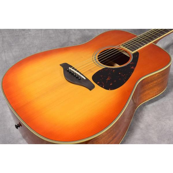 FG820 Autumn Burst