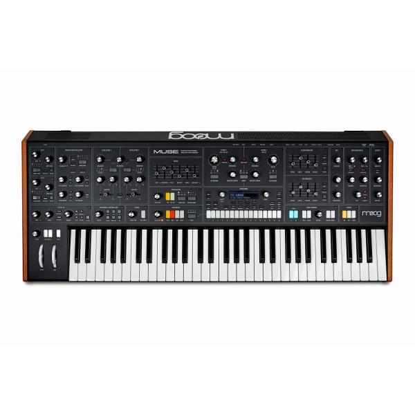 MOOG（モーグ） モーグ / Muse ボイス・アナログ・バイティンブラル
