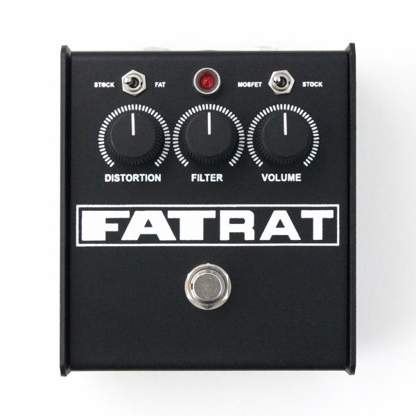 FAT RAT