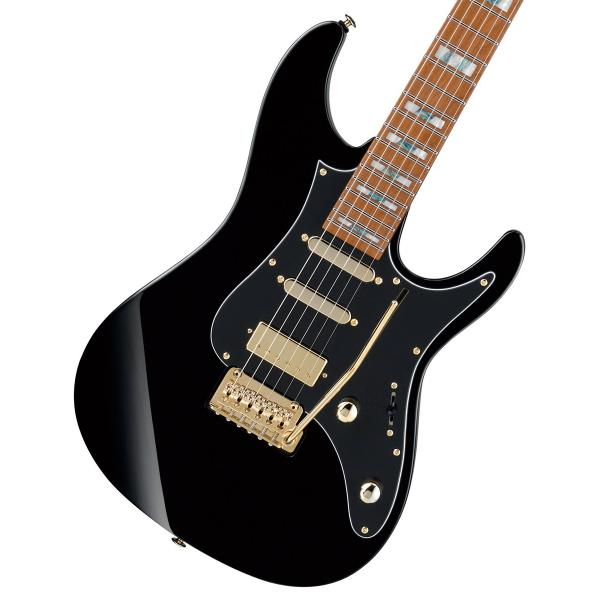 Ibanez（アイバニーズ） Ibanez / Tim Henson Signature Model THBB10