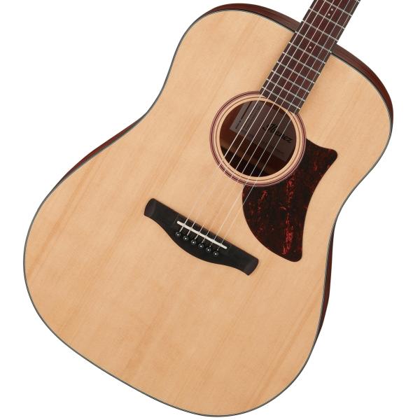 Advanced Acoustic Dreadnought AAD100-OPN