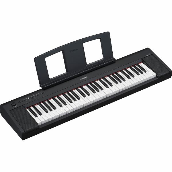 Piaggero NP-15B
