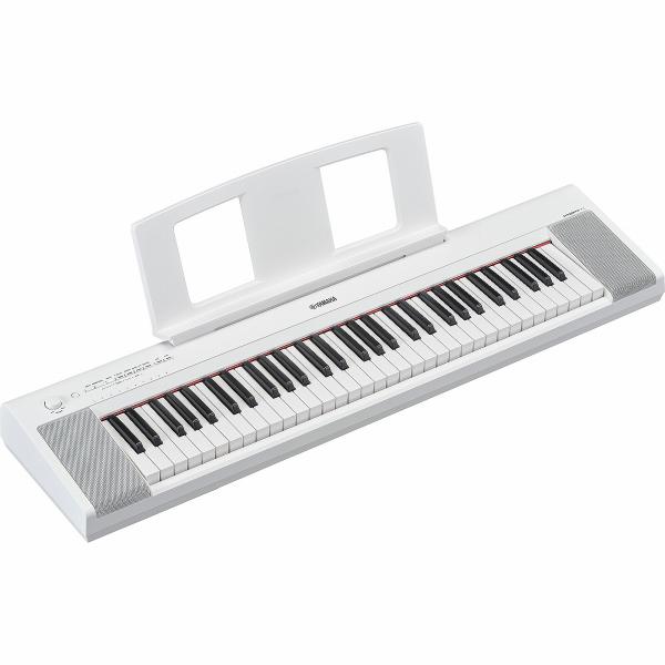 Piaggero NP-15WH
