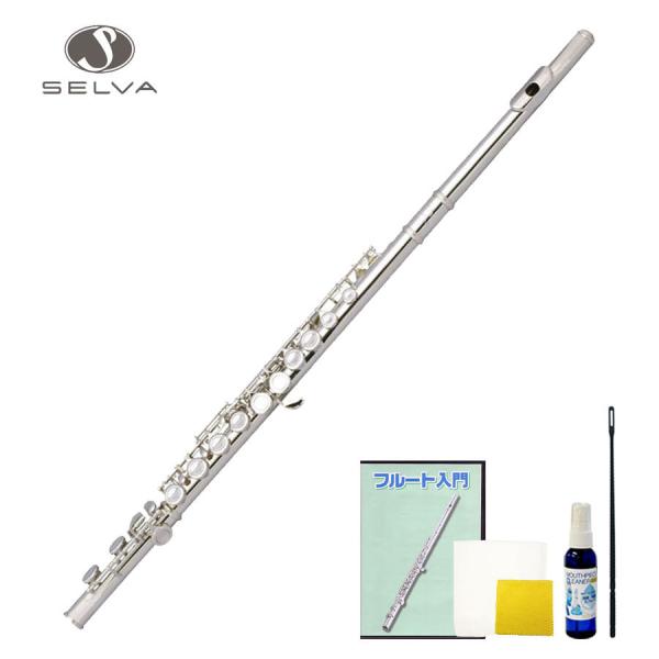 SELVA セルバ 初心者向けフルート入門セット FLUTE SFL-100 届い SELVA セルバ 初心者向けフルート入門セット FLUTE SFL-100 届い