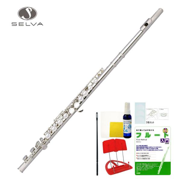 【美品】SELVA フルート SELVA / 初心者向けフルート入門セット FLUTE SFL-100 届いて
