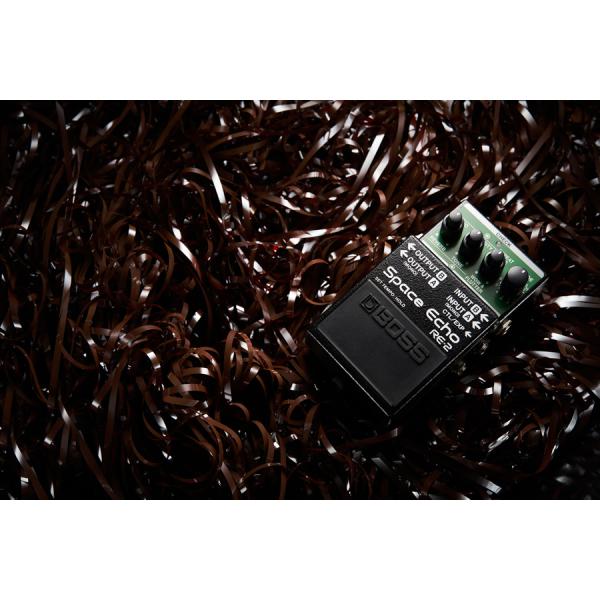 ishibashi_83-4957054519025_5