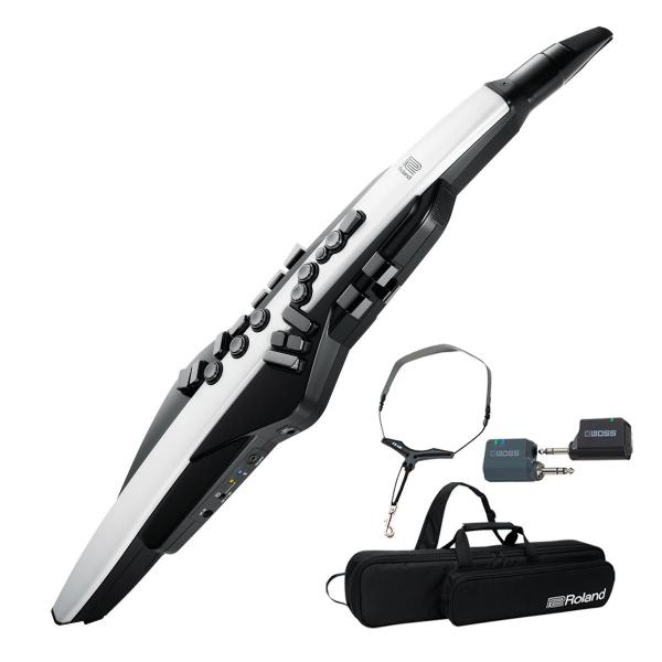 Roland / AEROPHONE AE-20 GAtH fW^Ǌy (CXVXeZbg)