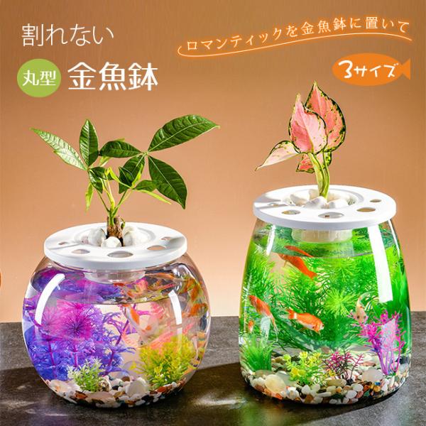 金魚鉢 丸型金魚鉢 水槽 オールインワン水槽 飼育水槽 メダカ 金魚鉢 丸型金魚鉢 水槽 オールインワン水槽 飼育水槽 メダカ