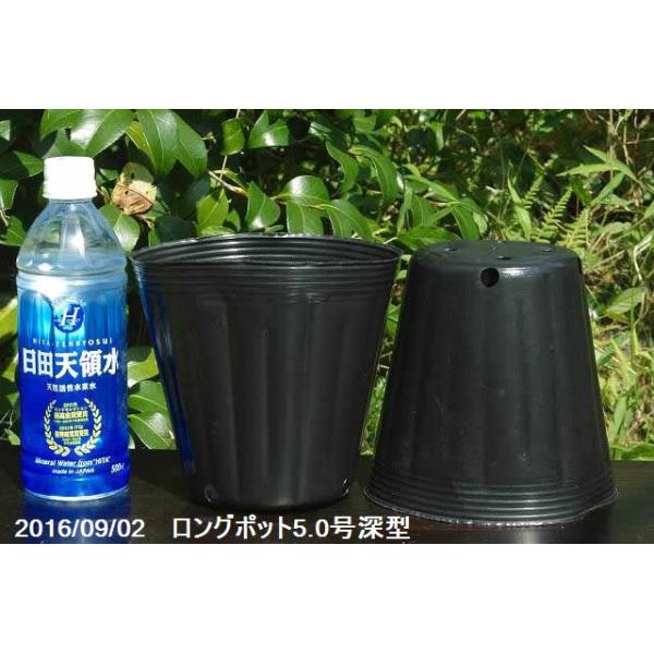 ishidaseikaen_hs-150