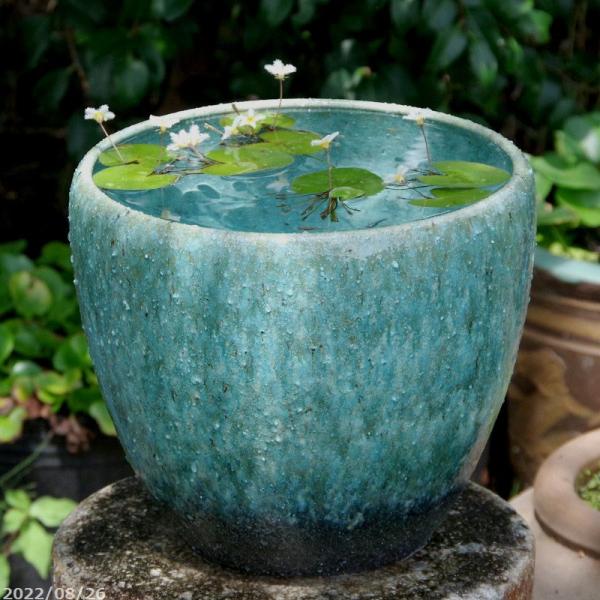 水盆 花器 無名堂 未使用 グリーン系色 水盆 花器 無名堂 未使用