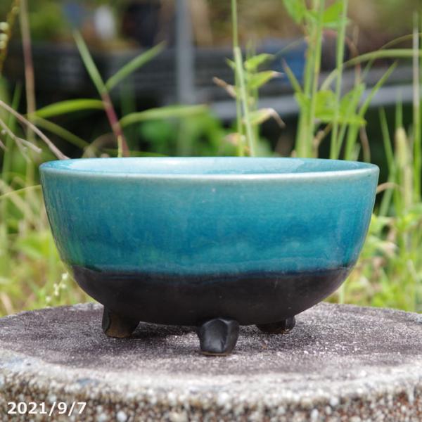 現品No.7495】信楽焼 植木鉢 陶器 青ガラス足付 6号(外径19.0cm 現品No.7495】信楽焼 植木鉢 陶器 青ガラス足付 6号(外径19.0cm