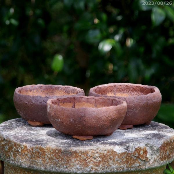 【信楽焼】蘭鉢 ③ アウトレット(No.3587) 信楽焼 植木鉢 陶器 窯肌丸浅鉢 4号(外径