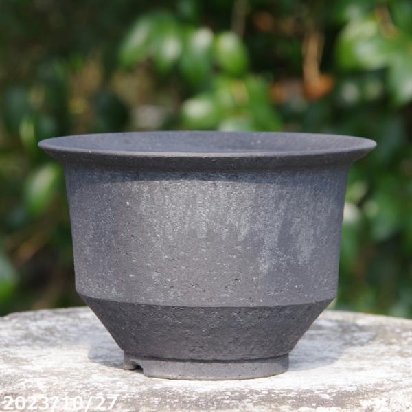 黒法師陶器鉢ごと①大苗大株2株、匿名配送 黒法師陶器鉢ごと①大苗大株2株、匿名配送 黒法師陶器