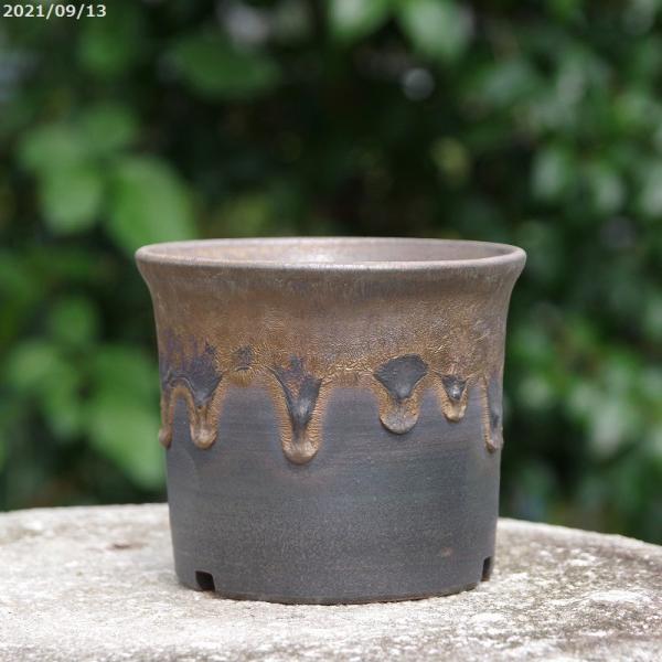 信楽焼 植木鉢 金彩ラッパ型 3 5号 外径11cm 高さ9cm 山野草鉢 小型ラン鉢 多肉植物鉢 サボテン鉢 盆栽鉢 Kk 626 石田精華園 Yahoo 店 通販 Yahoo ショッピング